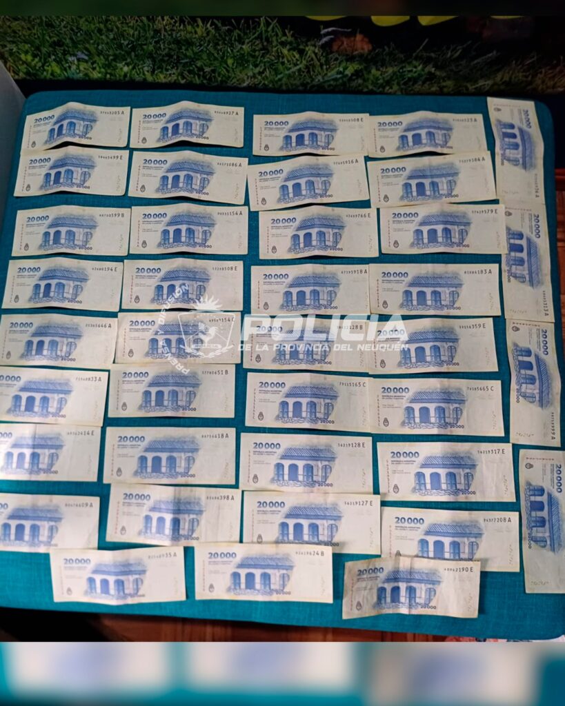 Robo con inhibidor en Plottier: dos detenidos y más de un millón de pesos secuestrados