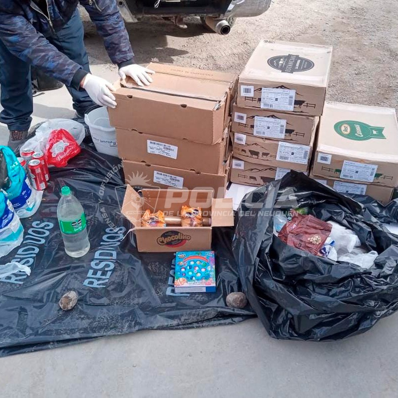 Caen por robar mercadería valuada en más de 2,5 millones de pesos