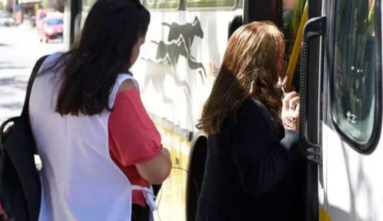 Docentes piden boleto sin costo entre San Martín y Junín de los Andes