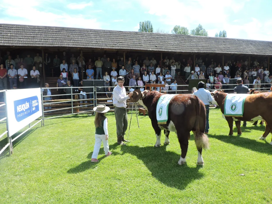La Sociedad Rural anunció fechas y actividades de la Expo Bovinos 2025