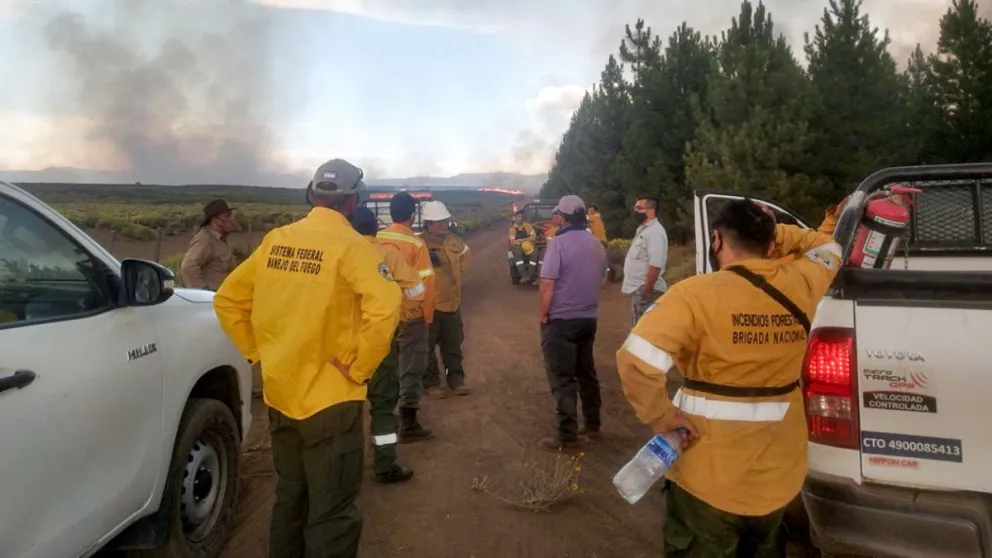 Villa La Angostura activa plan de prevención de incendios