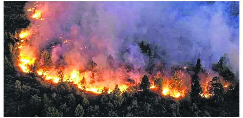 “Interfaz Resiliente”: Neuquén se prepara para la temporada de incendios