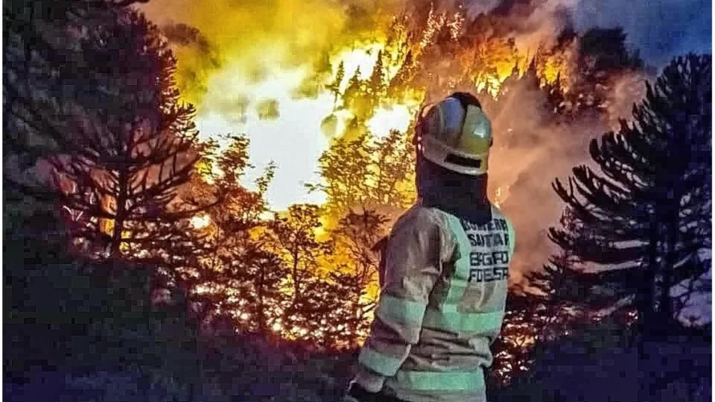 Avanza en comisión el debate por el Sistema Provincial de Manejo del Fuego