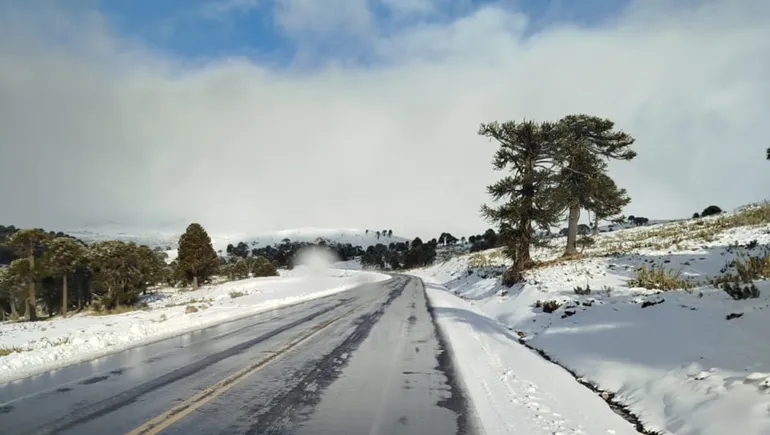 Vialidad Nacional informa cierre temporal del Paso Cardenal Samoré