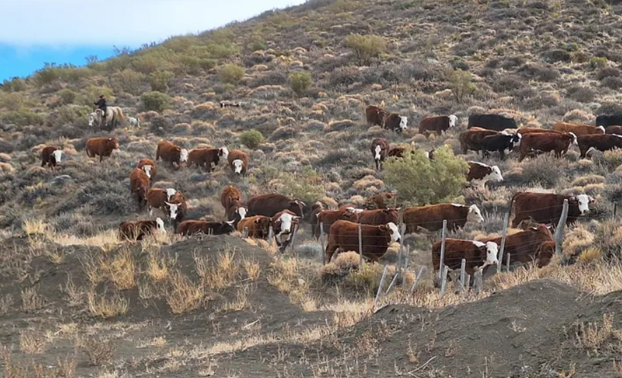 Emergencia por sequía: productores participarán de jornada técnica