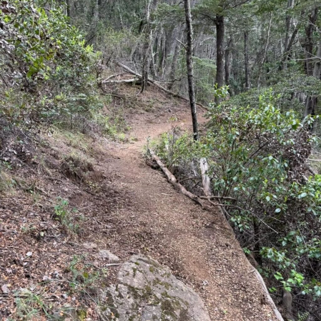 El Parque Nahuel Huapi refuerza senderos para la carrera internacional UTMB