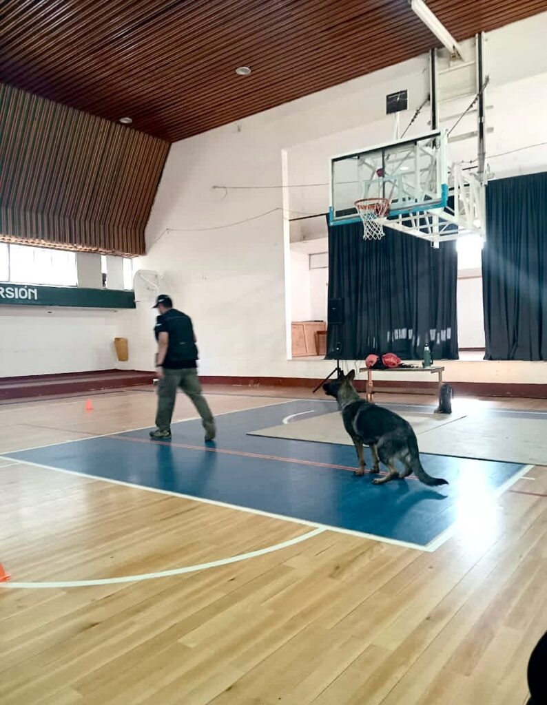 Villa El Chocón realizó talleres sobre tenencia responsable de mascotas