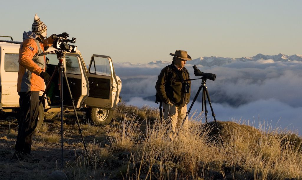 Cientos de especies convierten a Neuquén en un paraíso para observadores