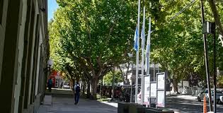 Presunto transfemicidio: duelo en Neuquén por empleada estatal