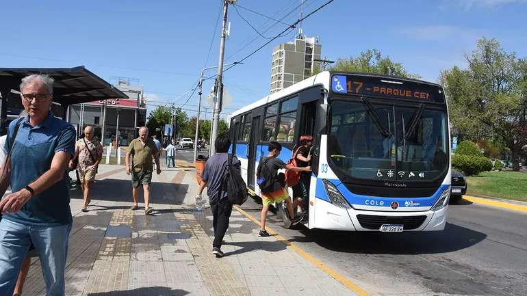 Transporte público en Neuquén: Cole pregunta a los vecinos sobre el servicio