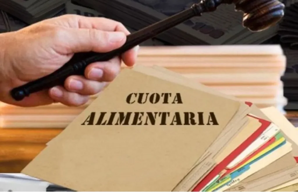 Registro de deudores alimentarios: acuerdo para integrar sistemas provinciales