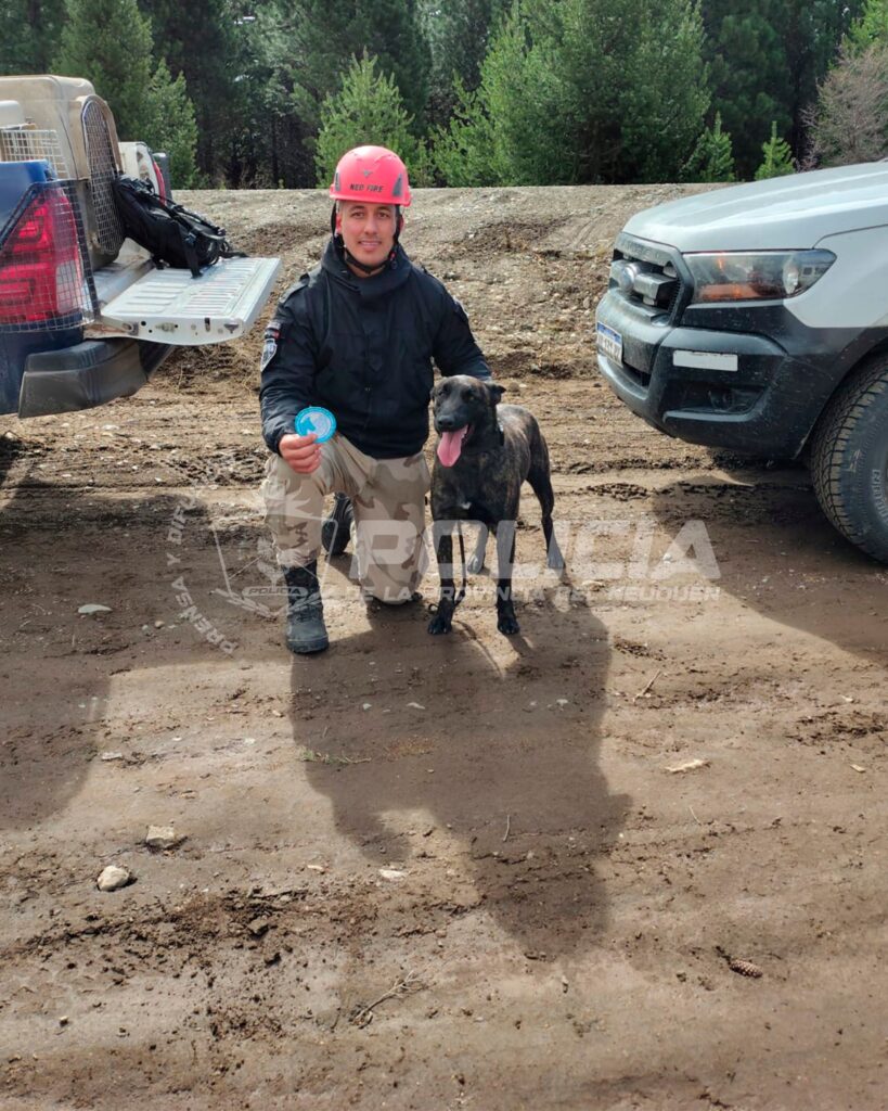 Certificación nacional para perro de búsqueda rural