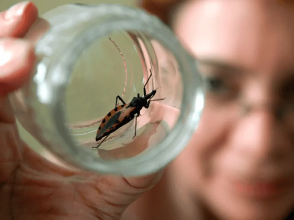 Neuquén sostiene certificación internacional contra el Chagas
