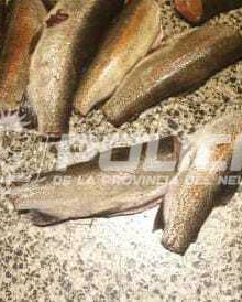 Procedimiento policial por pesca clandestina en Las Lajas