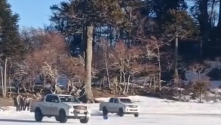 Conductor queda bajo investigación por daños en Batea Mahuida