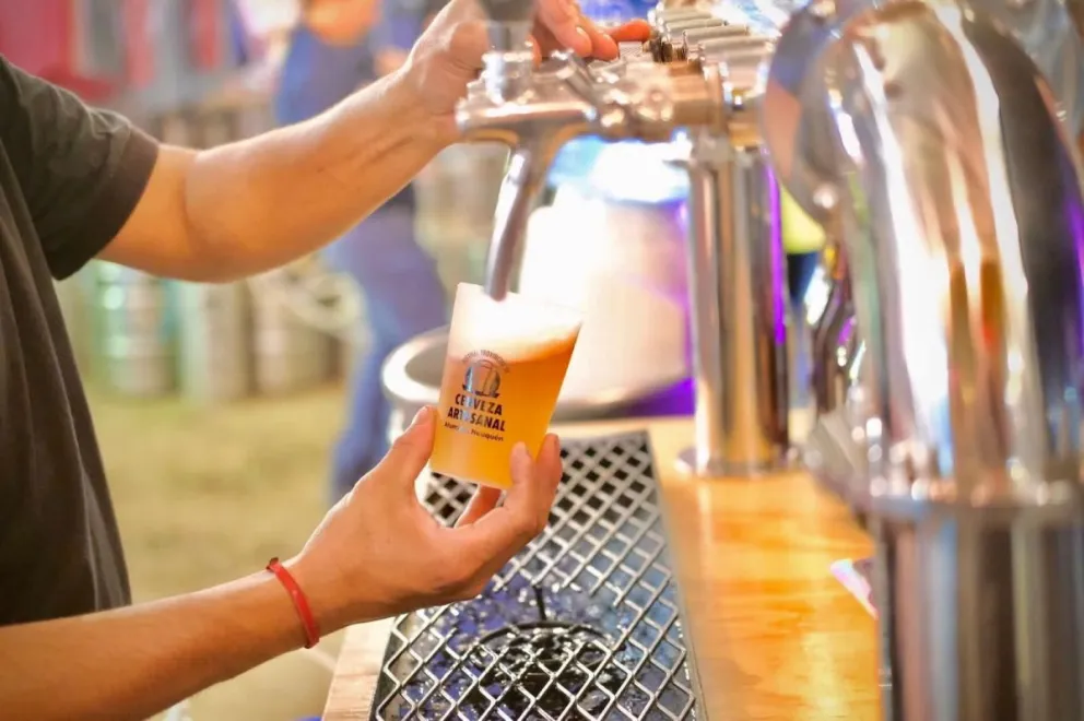 Villa La Angostura y Aluminé lideraron la ocupación provincial