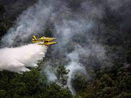 Sumaron aviones para la prevención de incendios