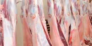 Arrancó la faena de chivitos en el norte neuquino