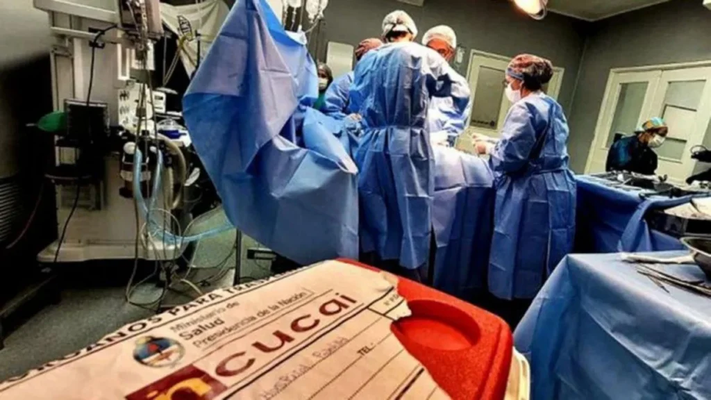 Reconocen a Neuquén por donación y trasplantes a nivel internacional
