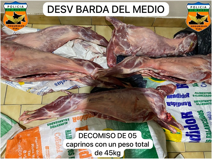 Ruta 151: secuestran carne sin habilitación sanitaria