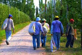 Escasa demanda laboral y alerta en El Chañar