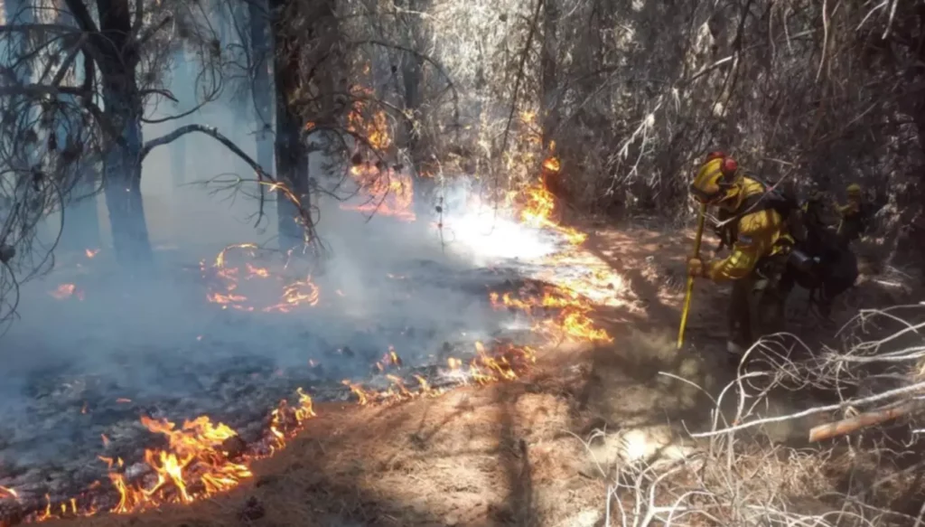Fuego activo en Los Alerces: refuerzan el operativo terrestre y aéreo