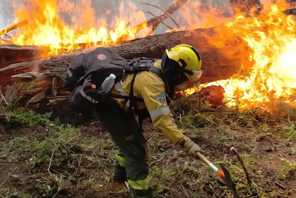 Incendios: sanciones récord y clausuras en El Bolsón