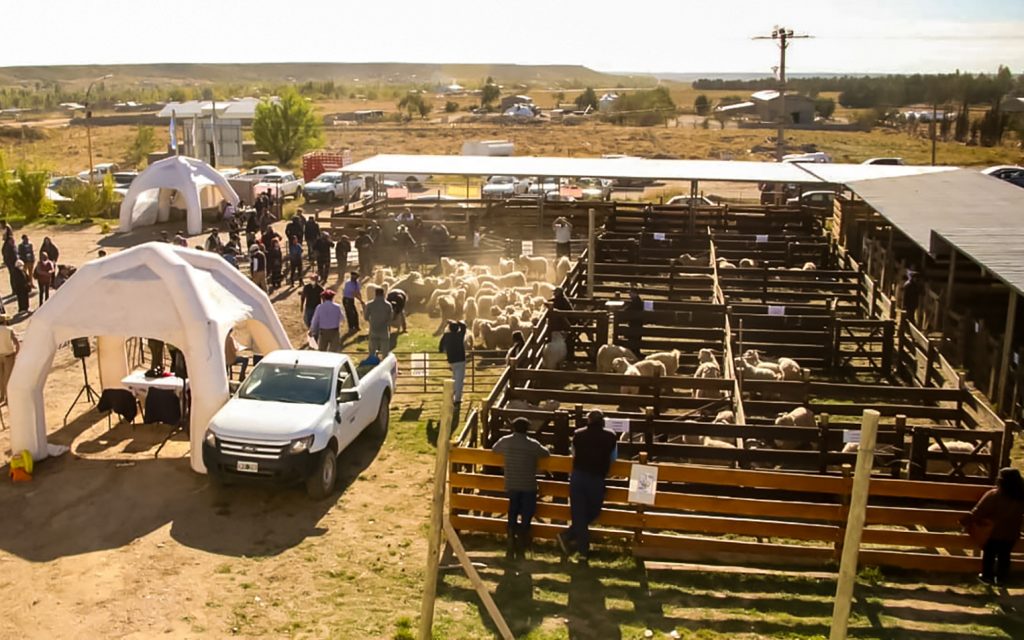 Zapala pone en vidriera a los productores locales