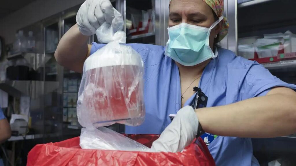 Donación de órganos: Neuquén quedó tercera a nivel país