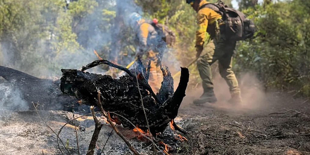 Incendios en Chubut: brigadistas neuquinos se suman al operativo
