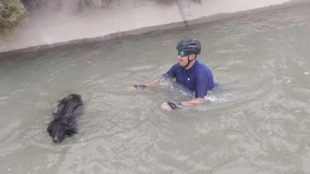 Un policía se tiró a un canal y rescató a un perro