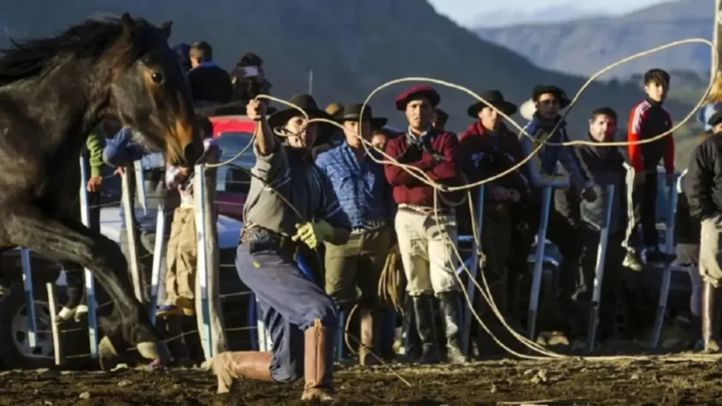 El campo toma protagonismo con una gran muestra