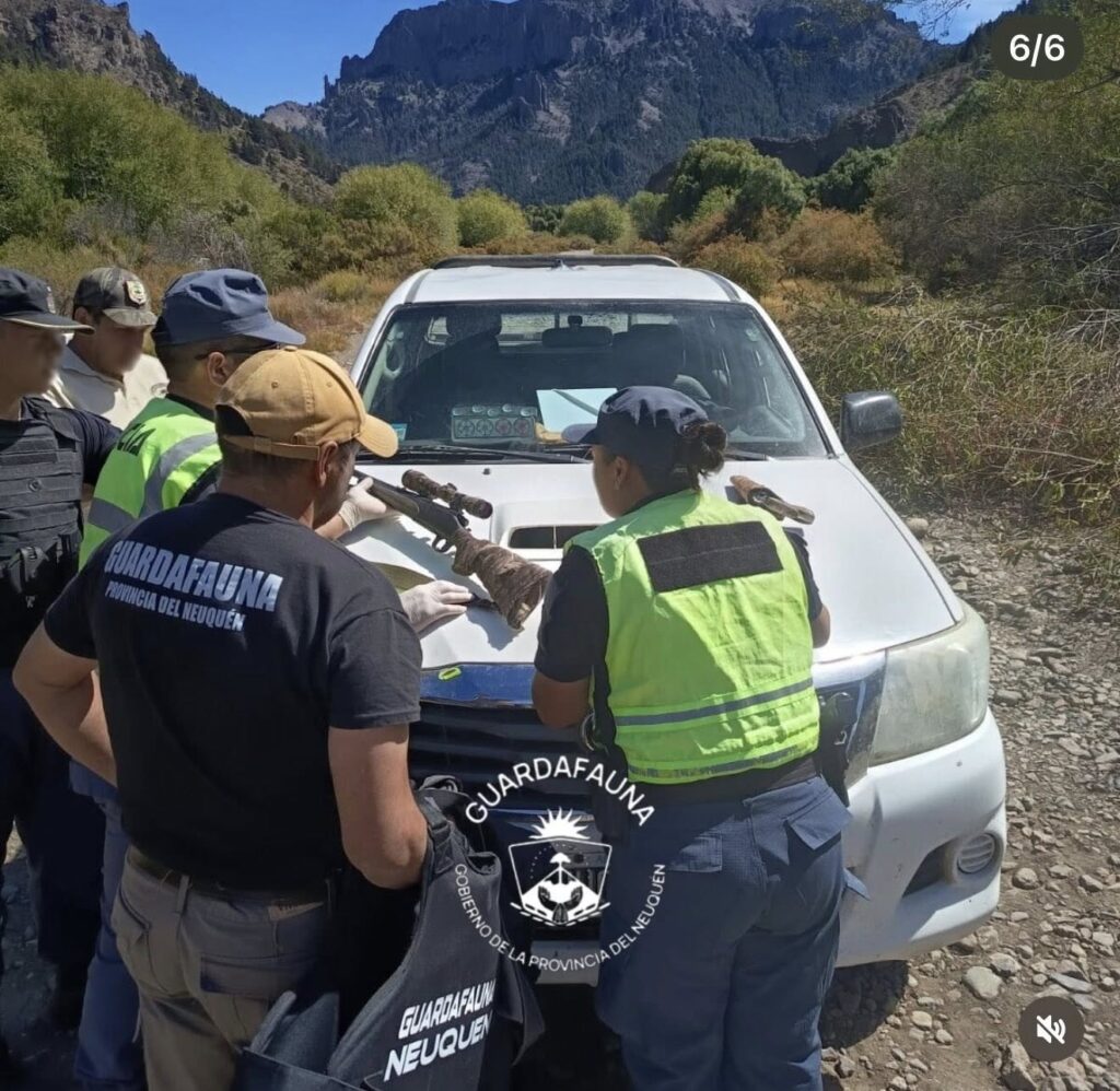 Operativo conjunto detectó presunta caza furtiva