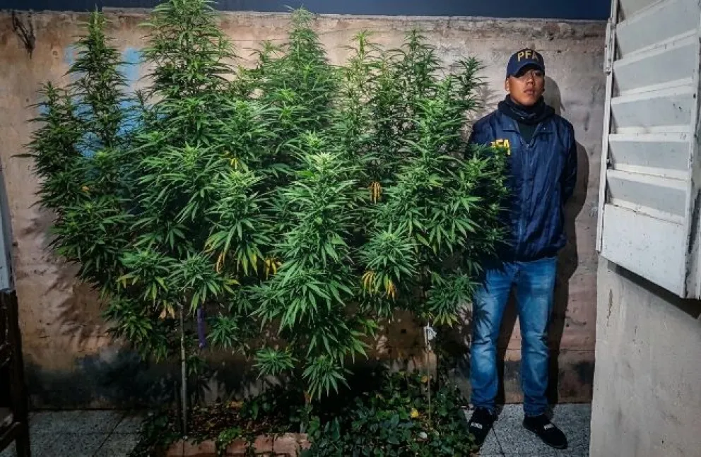 Dos allanamientos en Cipolletti por venta de estupefacientes