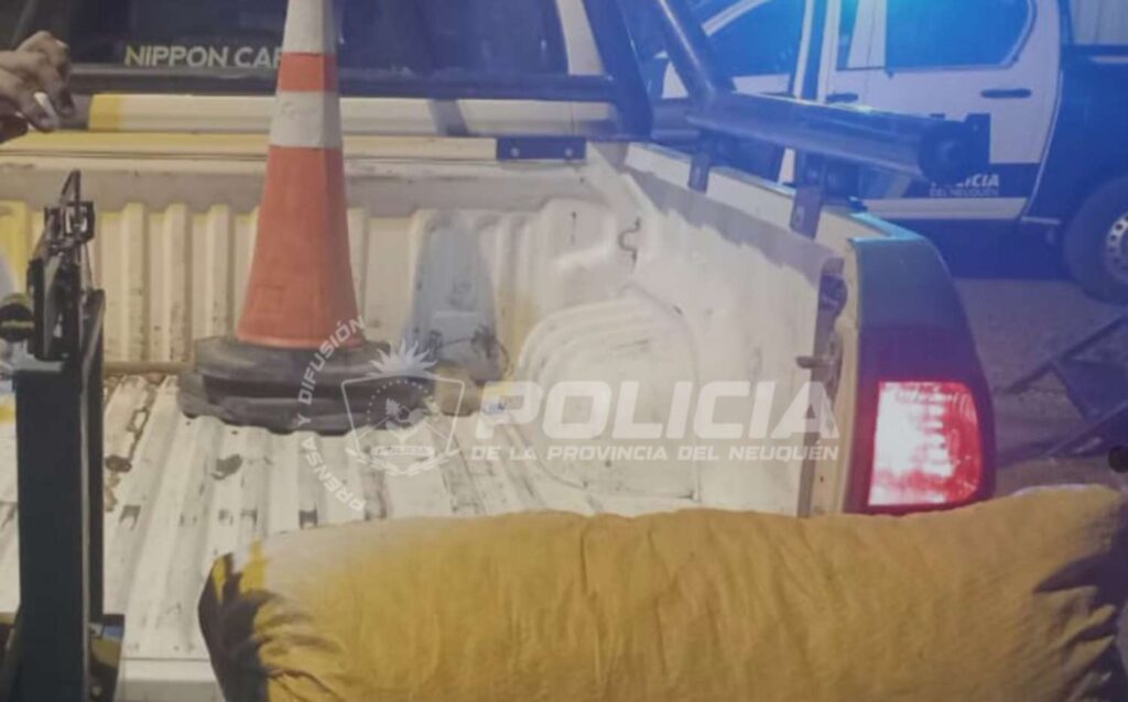 Incautan gran cantidad de piñones transportados sin documentación