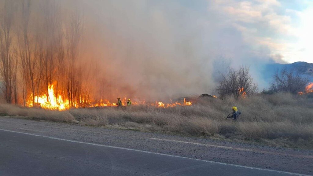 Bomberos controlaron incendio entre Senillosa y Plottier