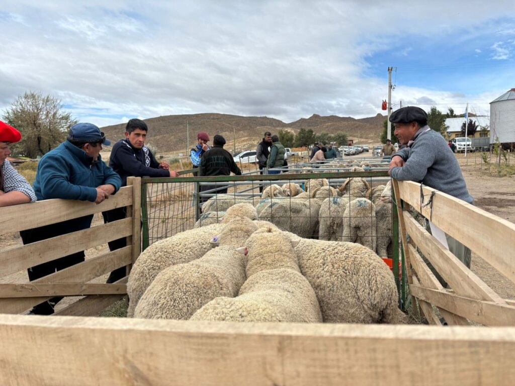 Zapala reúne al sector productivo con agenda completa