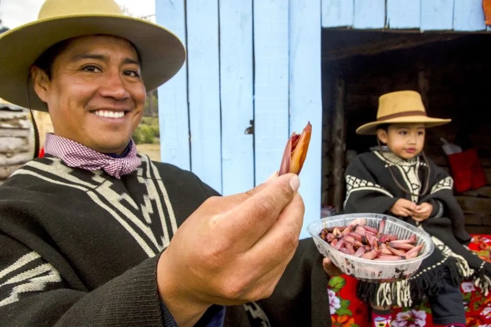 Comienza la Fiesta del Piñón con desfile y actividades camperas