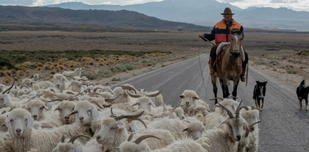 Arreos, familias y caminos: el regreso desde la montaña