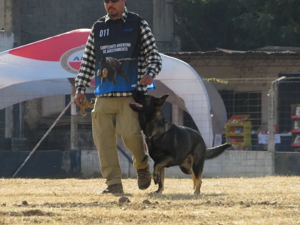 Bomberos de Villa Pehuenia brillaron en un campeonato nacional K9