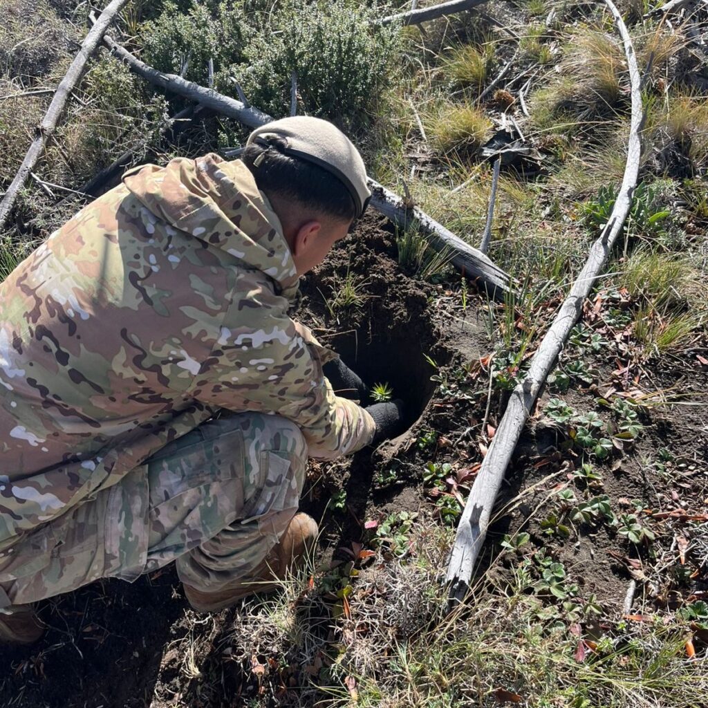 El Ejército participa en tareas de reforestación en la región