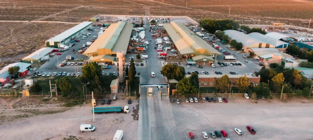 El Mercado Concentrador abre concurso para dos puestos