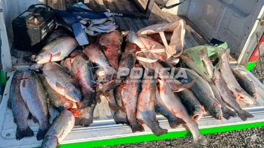 Brigada Rural y Guardafauna realizaron decomisos en zonas de pesca