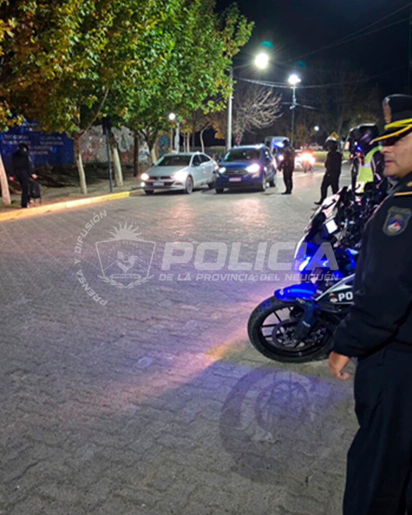 Operativo en Isla 132: diez vehículos retenidos por infracciones