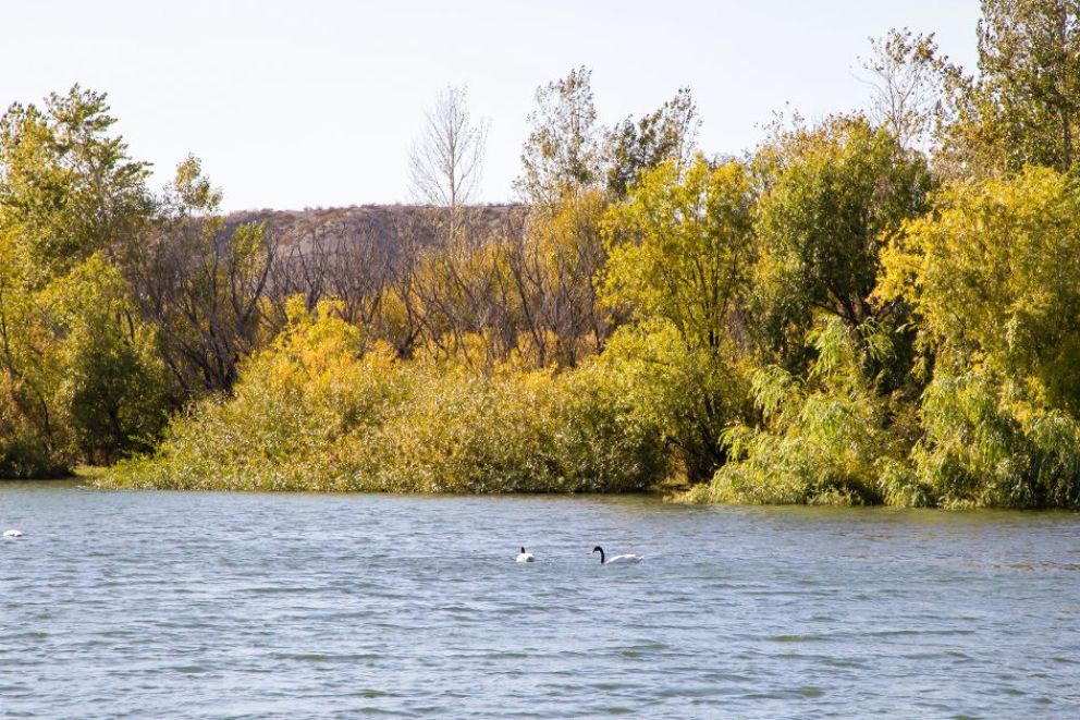 La AIC advirtió un aumento del caudal del río Limay