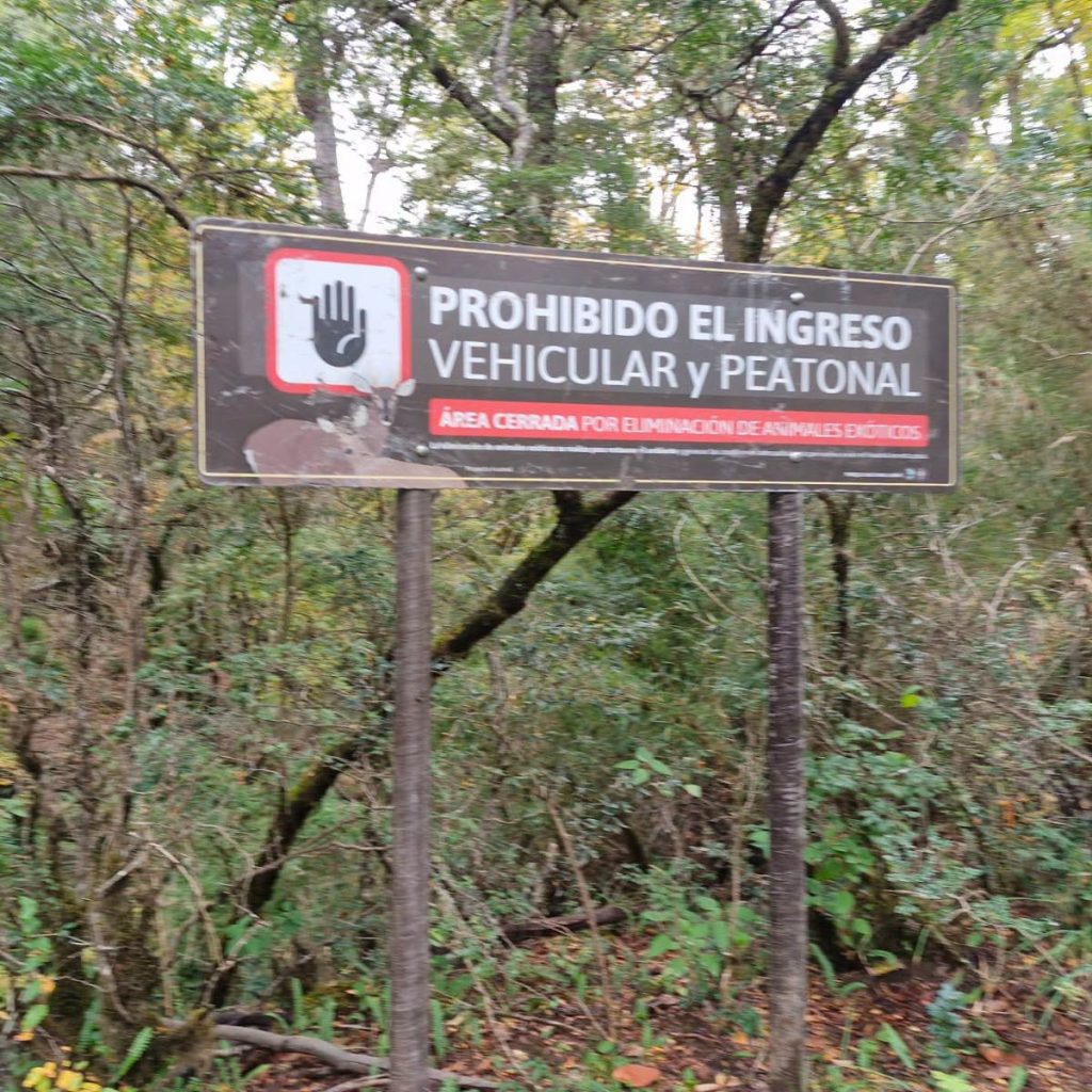 Sancionaron a una persona por ingresar a una zona restringida del Parque Lanín
