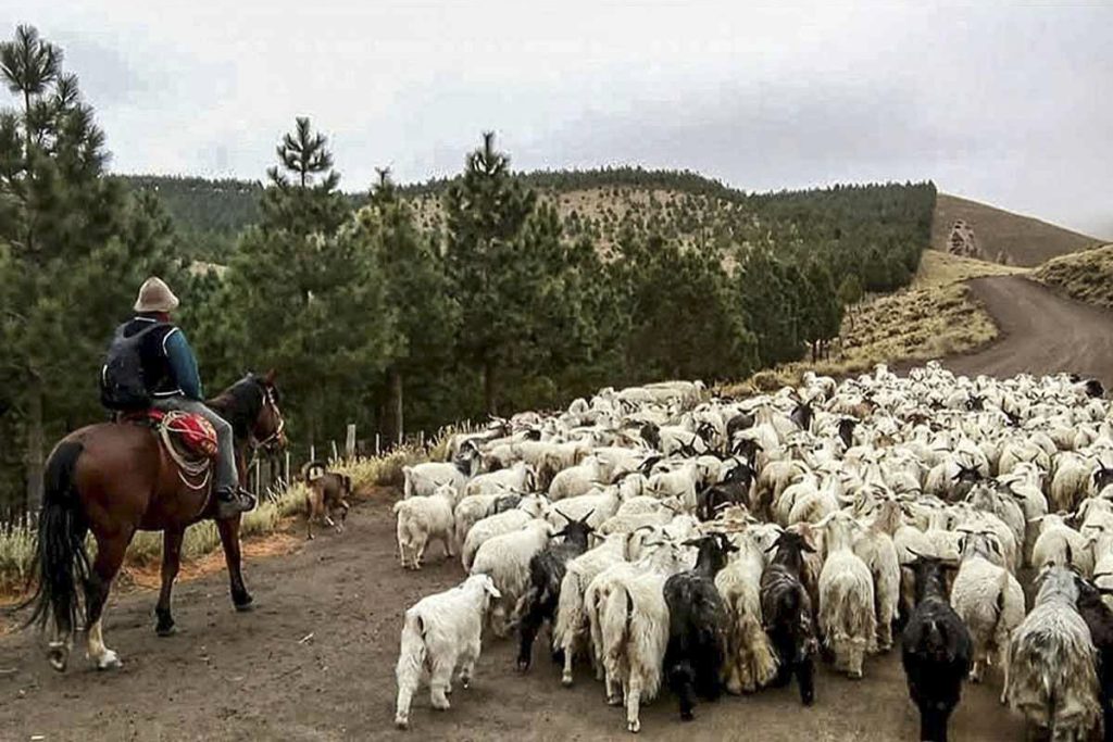 Neuquén movilizará $4.000 millones hacia el sector productivo