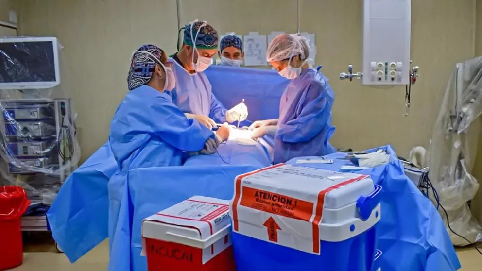 Un récord de donantes permitió salvar cientos de vidas