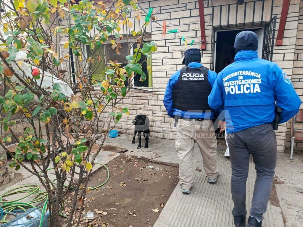 Atado, sin refugio y con bajo peso: rescatan a un pitbull