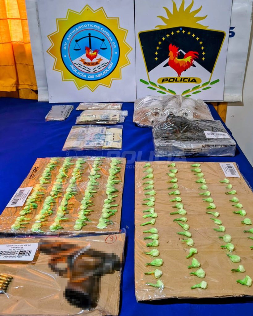 Dos allanamientos por droga terminaron con secuestros en Cutral Co